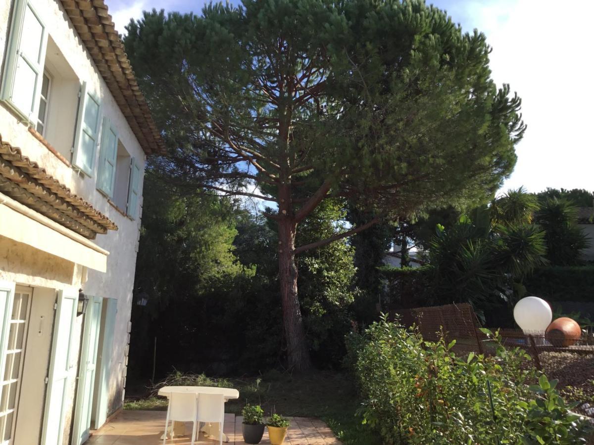 Villa Alessia Antibes Zewnętrze zdjęcie