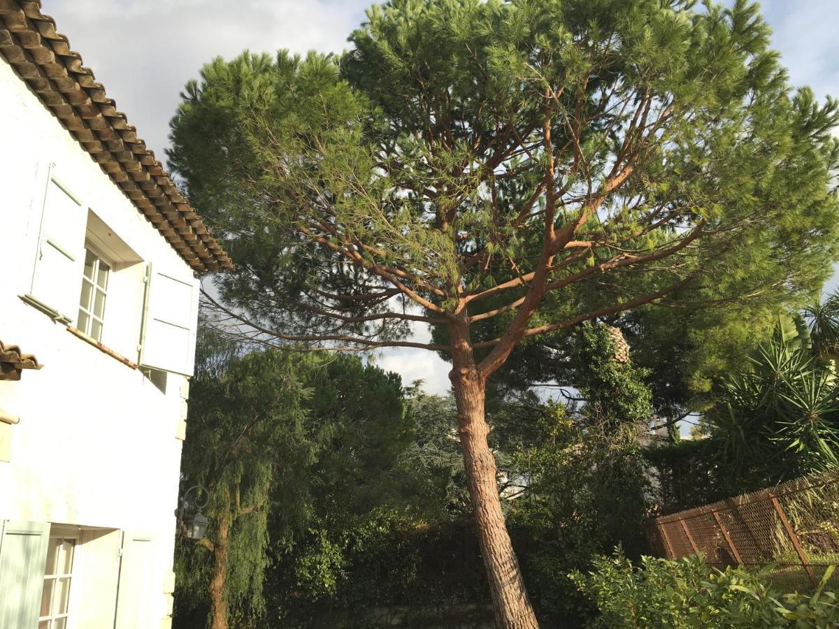 Villa Alessia Antibes Zewnętrze zdjęcie