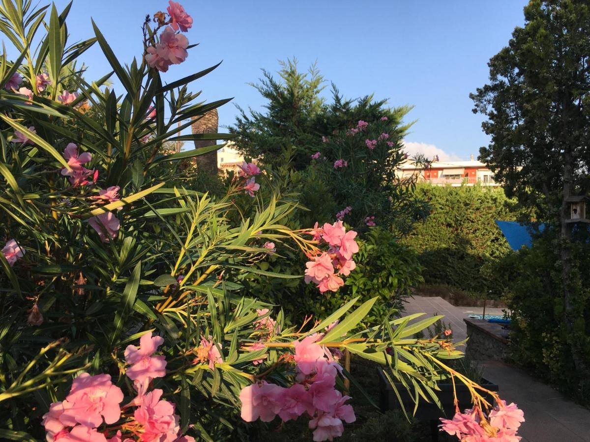 Villa Alessia Antibes Zewnętrze zdjęcie