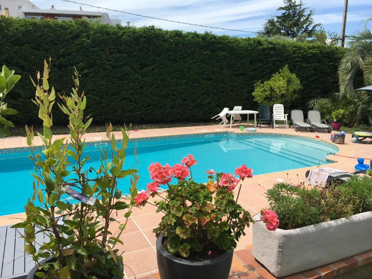 Villa Alessia Antibes Zewnętrze zdjęcie