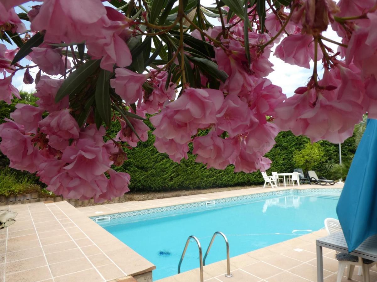 Villa Alessia Antibes Zewnętrze zdjęcie