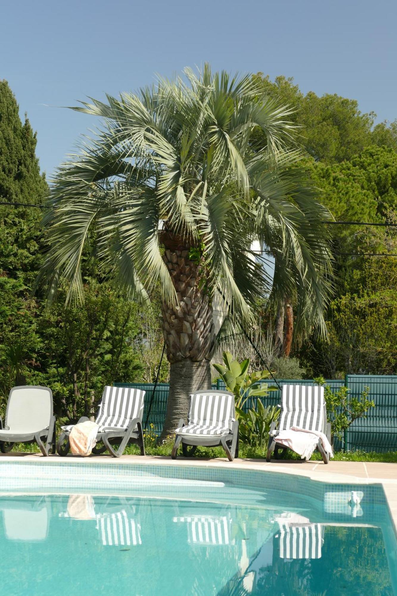 Villa Alessia Antibes Zewnętrze zdjęcie