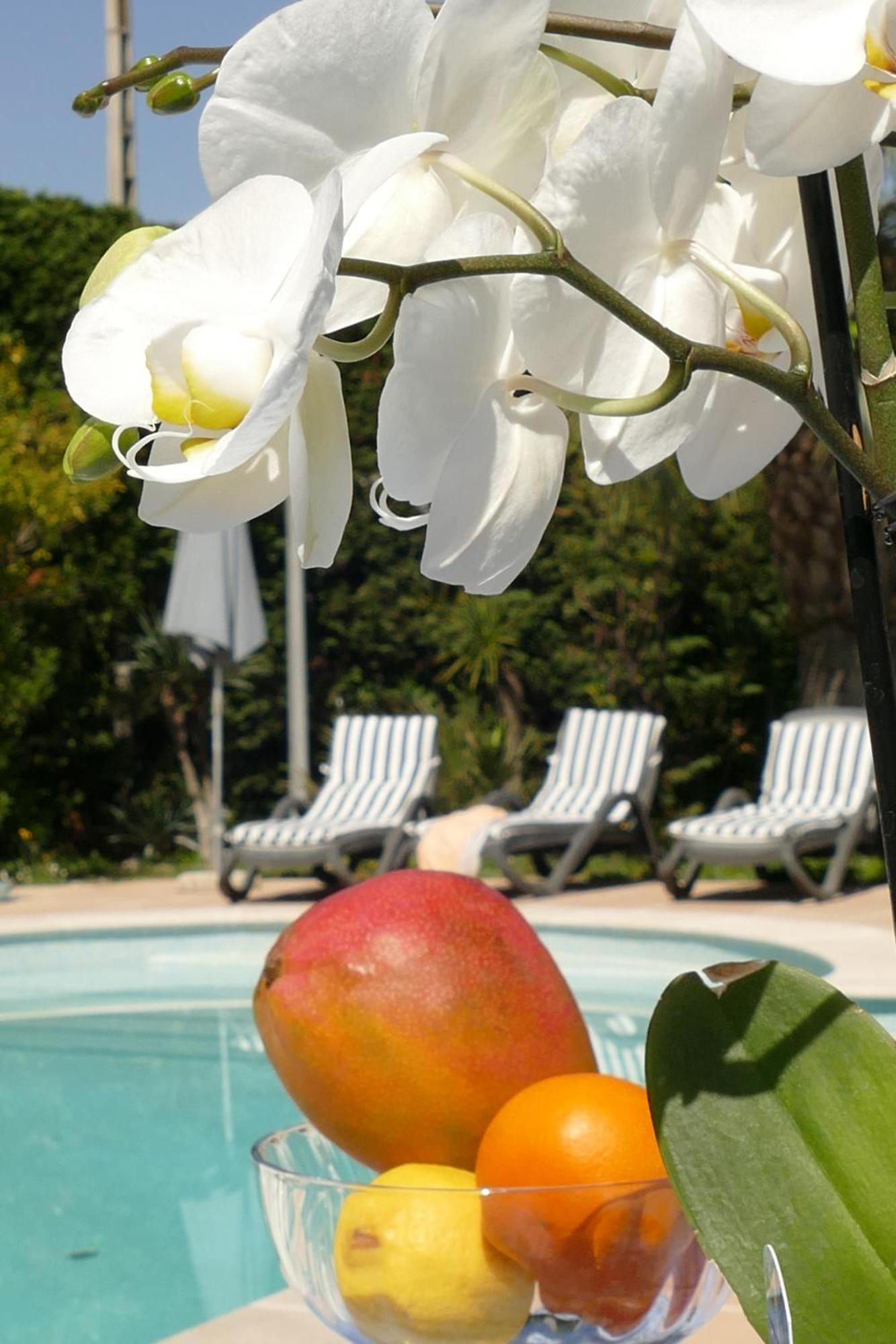 Villa Alessia Antibes Zewnętrze zdjęcie